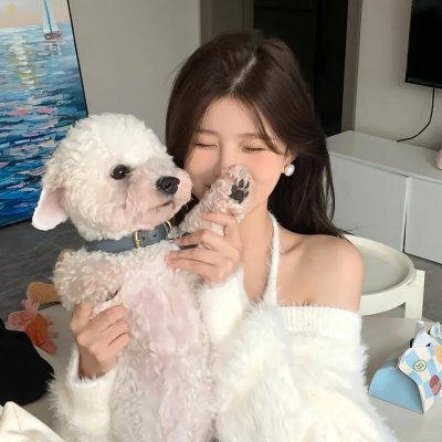 天才宝弟的狗日子