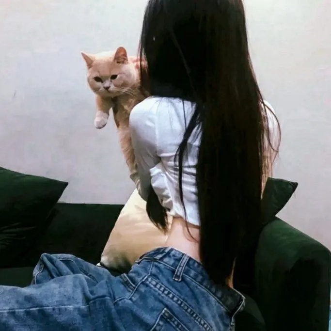 廉价住房